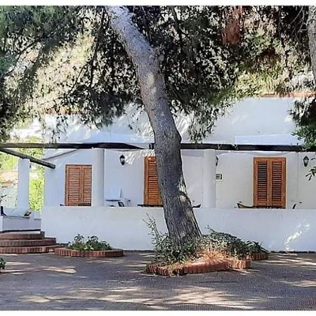 Villa Il Glicine วุลกาโน ภายนอก รูปภาพ
